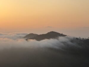 Eco-lodge accommodation in the hills near Singalila National Park, India 3