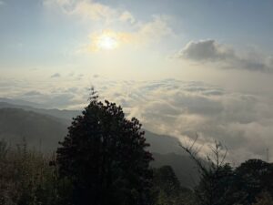 Eco-lodge accommodation in the hills near Singalila National Park, India 2