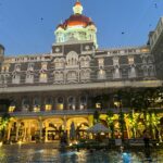 Tigres en Inde • Faune sauvage d’Inde • Nature indienne • Jungle d’Inde • Expériences authentiques en Inde • Animaux d’Inde • Parcs nationaux indiens • Panthera India • Wildlife Inde • Version premium Inde • Explorations naturalistes en Inde • Immersion en pleine nature • Big Cats India-20