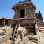 Tigres en Inde • Faune sauvage d’Inde • Nature indienne • Jungle d’Inde • Expériences authentiques en Inde • Animaux d’Inde • Parcs nationaux indiens • Panthera India • Wildlife Inde • Version premium Inde • Explorations naturalistes en Inde • Immersion en pleine nature • Big Cats India-18