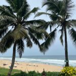 Tigres en Inde • Faune sauvage d’Inde • Nature indienne • Jungle d’Inde • Expériences authentiques en Inde • Animaux d’Inde • Parcs nationaux indiens • Panthera India • Wildlife Inde • Version premium Inde • Explorations naturalistes en Inde • Immersion en pleine nature • Big Cats India-11