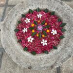 Tigres en Inde • Faune sauvage d’Inde • Nature indienne • Jungle d’Inde • Expériences authentiques en Inde • Animaux d’Inde • Parcs nationaux indiens • Panthera India • Wildlife Inde • Version premium Inde • Explorations naturalistes en Inde • Immersion en pleine nature • Big Cats India-7