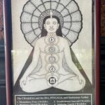 Tigres en Inde • Faune sauvage d’Inde • Nature indienne • Jungle d’Inde • Expériences authentiques en Inde • Animaux d’Inde • Parcs nationaux indiens • Panthera India • Wildlife Inde • Version premium Inde • Explorations naturalistes en Inde • Immersion en pleine nature • Big Cats India-10