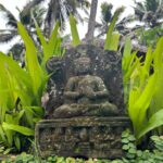 Tigres en Inde • Faune sauvage d’Inde • Nature indienne • Jungle d’Inde • Expériences authentiques en Inde • Animaux d’Inde • Parcs nationaux indiens • Panthera India • Wildlife Inde • Version premium Inde • Explorations naturalistes en Inde • Immersion en pleine nature • Big Cats India-9