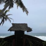 Tigres en Inde • Faune sauvage d’Inde • Nature indienne • Jungle d’Inde • Expériences authentiques en Inde • Animaux d’Inde • Parcs nationaux indiens • Panthera India • Wildlife Inde • Version premium Inde • Explorations naturalistes en Inde • Immersion en pleine nature • Big Cats India-8