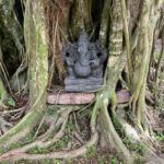 Tigres en Inde • Faune sauvage d’Inde • Nature indienne • Jungle d’Inde • Expériences authentiques en Inde • Animaux d’Inde • Parcs nationaux indiens • Panthera India • Wildlife Inde • Version premium Inde • Explorations naturalistes en Inde • Immersion en pleine nature • Big Cats India-5