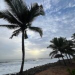 Tigres en Inde • Faune sauvage d’Inde • Nature indienne • Jungle d’Inde • Expériences authentiques en Inde • Animaux d’Inde • Parcs nationaux indiens • Panthera India • Wildlife Inde • Version premium Inde • Explorations naturalistes en Inde • Immersion en pleine nature • Big Cats India-1