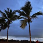 Tigres en Inde • Faune sauvage d’Inde • Nature indienne • Jungle d’Inde • Expériences authentiques en Inde • Animaux d’Inde • Parcs nationaux indiens • Panthera India • Wildlife Inde • Version premium Inde • Explorations naturalistes en Inde • Immersion en pleine nature • Big Cats India-2